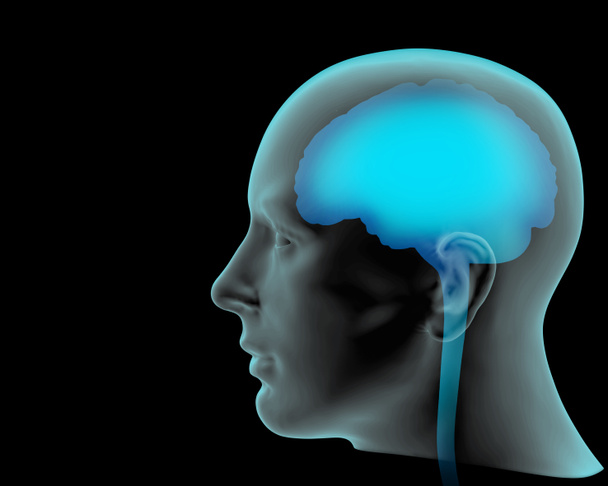  menselijk brein achtergrond - 3d illustratie - Foto, afbeelding