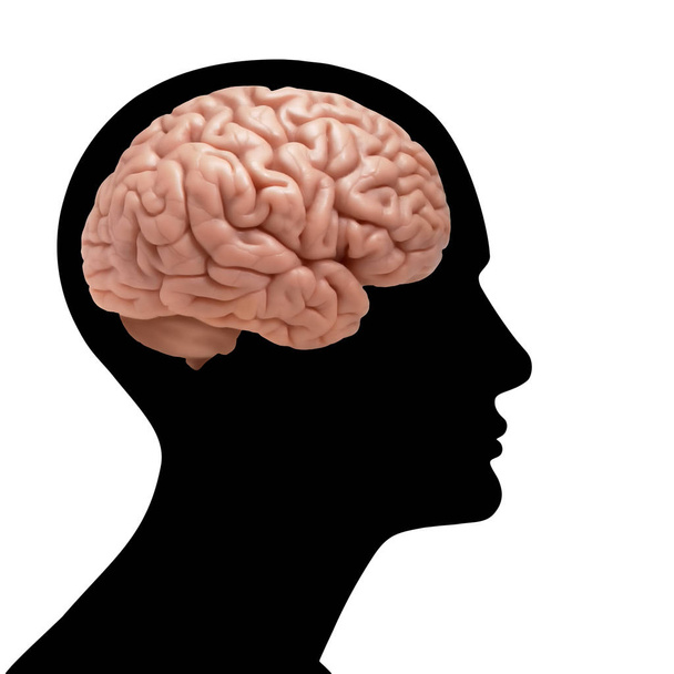  insan beyninin arka plan - 3d çizim - Fotoğraf, Görsel