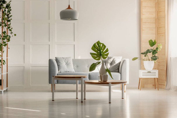 Green leaf in white vase on round wooden coffee table in spacious living room with grey couch, plants and wooden furniture - Φωτογραφία, εικόνα