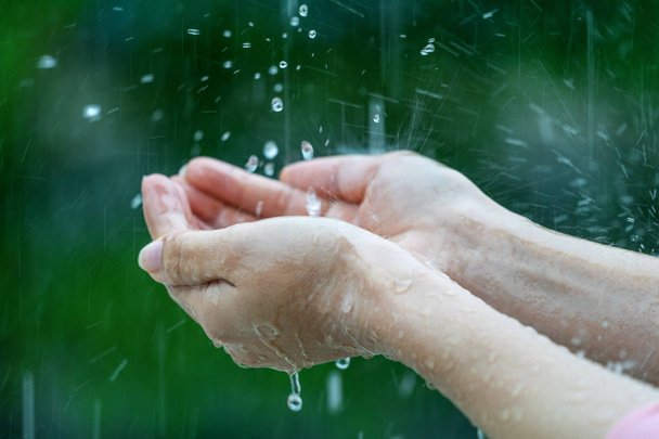 Close-up of wet female hands in rain - Photo, image