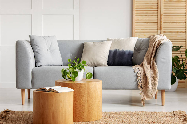 Großstadtdschungel in natürlichen Wohnzimmer mit Kissen und Beige Decke auf grau couch und öffnen Sie Buch und Pflanze im Topf auf Holztischen - Foto, Bild
