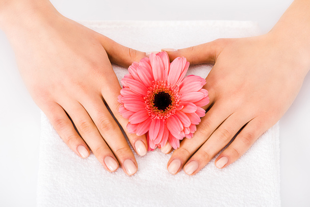 Top view of woman with manicure holding flower in hands - Foto, Imagem
