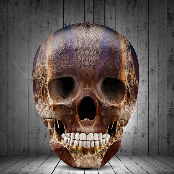  colored human skull, decoration  - Illustration - Фото, зображення
