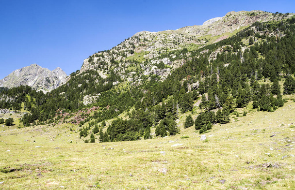 Güneşli bir günde İspanya 'nın Benasque vadisinde Pireneler Dağları. - Fotoğraf, Görsel