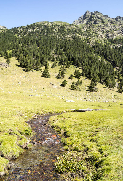 Río en los Pirineos en el valle de Benasque en España en un día soleado
. - Foto, Imagen