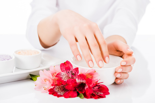 Cropped view of manicurist with colorful flowers isolated on white - 写真・画像