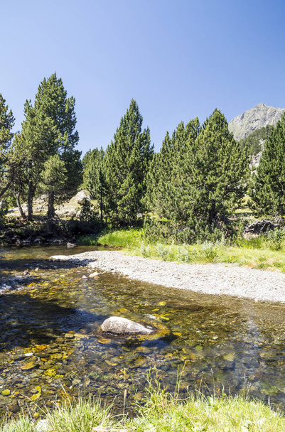 River in the Pyrenees in the Benasque valley in Spain on a sunny day. - Photo, Image