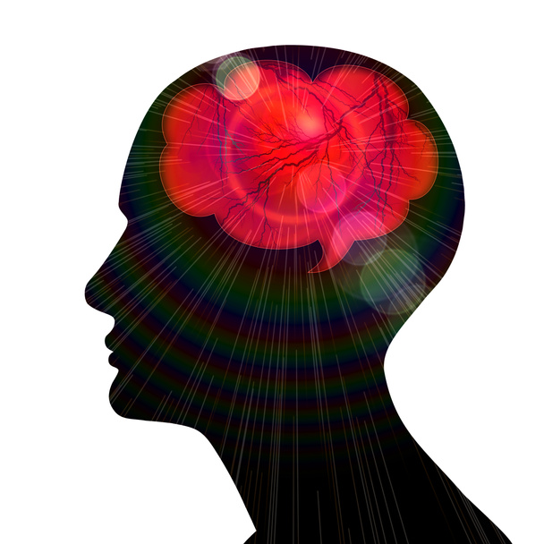 ανθρώπινο, κεφάλι, εγκέφαλο και λευκό φόντο - Φωτογραφία, εικόνα
