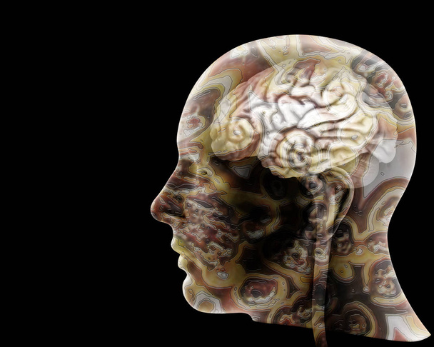  lidský mozek pozadí - 3d ilustrace - Fotografie, Obrázek