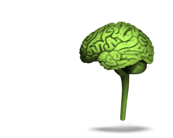  human brain background - 3D illustration - Photo, Image
