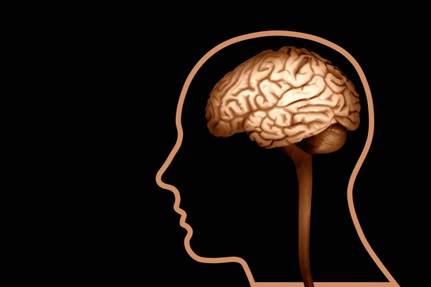  emberi agy háttér - 3D-s illusztráció - Fotó, kép