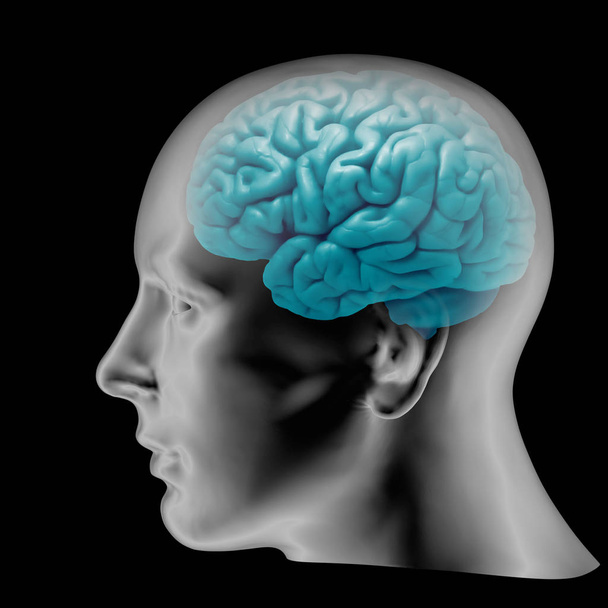  fond du cerveau humain illustration 3D
 - Photo, image
