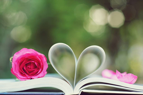 Krásné růžové barvy růže na knihu roll do tvaru srdce, měkký barevný tón, sladká Valentýna prezentace koncepce, kopie prostor - Fotografie, Obrázek