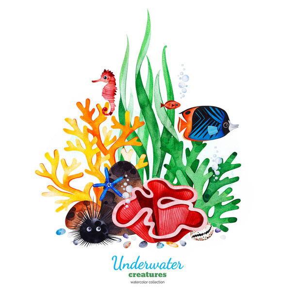watercolor collection with underwater creatures on white background  - Photo, Image