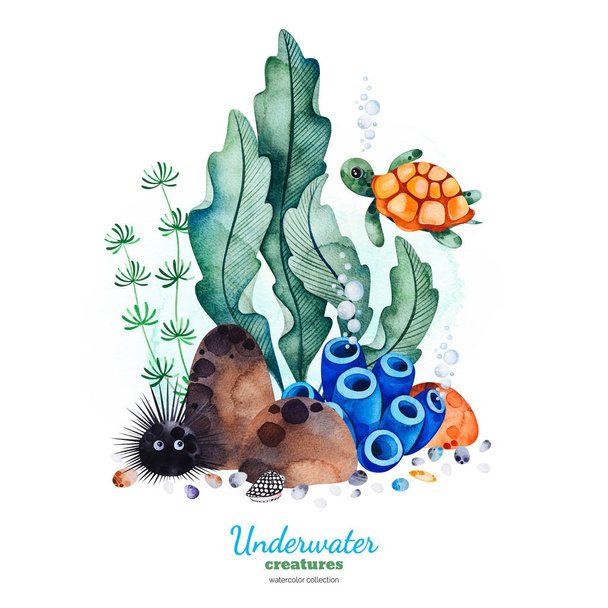 watercolor collection with underwater creatures on white background  - Photo, image