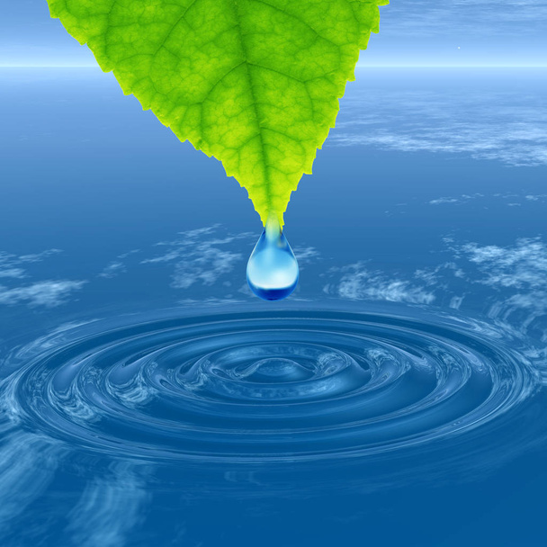 Concept of conceptuele schone bronwater of dew drop uit groene verse blad vallen.  - Foto, afbeelding