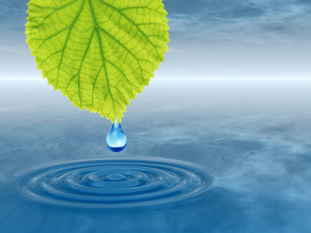 Έννοια ή εννοιολογική καθαρό νερό ή δροσιά πτώση πτώση από πράσινο φρέσκο φύλλο.  - Φωτογραφία, εικόνα