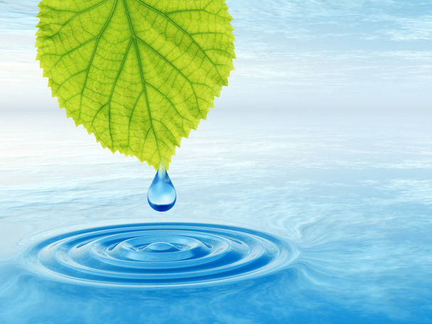 Conceito ou conceitual água de nascente limpa ou gota de orvalho caindo de folha fresca verde
.  - Foto, Imagem