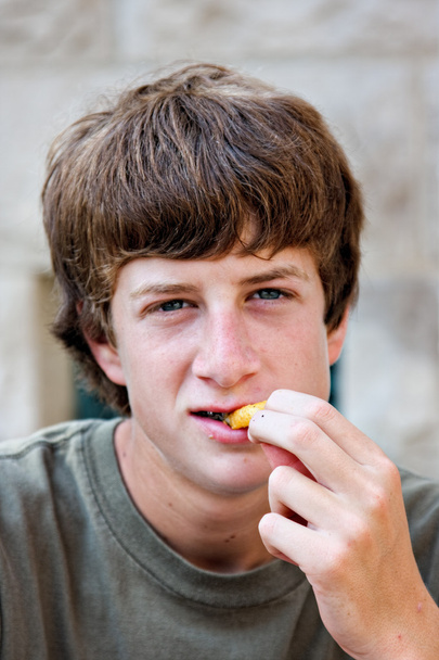 fiú eszik francia fry - Fotó, kép