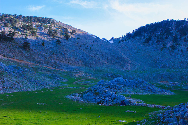 mountain rocky landscape, pine forest and green meadow. n. Lycian way. Turkeyatural background - Foto, afbeelding
