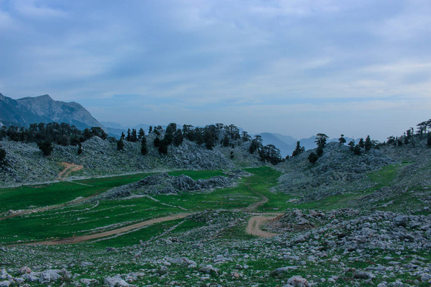 mountain rocky landscape, pine forest and green meadow. n. Lycian way. Turkeyatural background - Фото, изображение