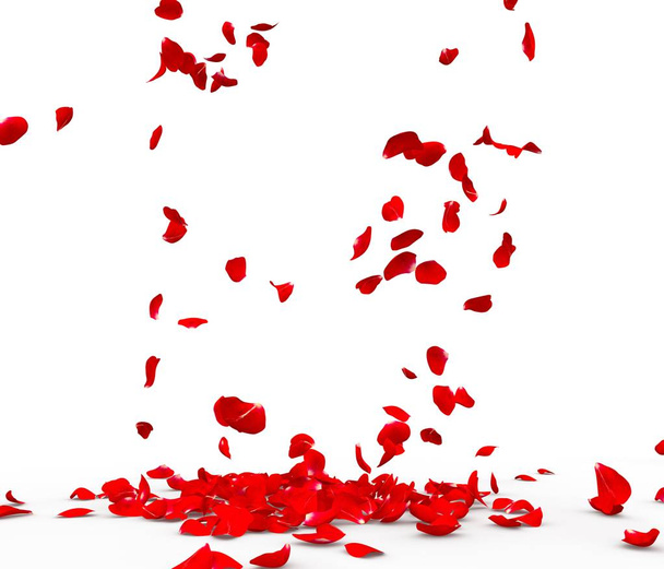Viele Rosenblätter fallen auf den Boden. isoliert auf weißem Hintergrund - Foto, Bild