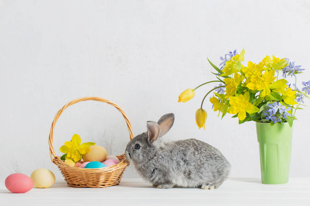 bunny with easter eggs and flowers on white background - Foto, immagini