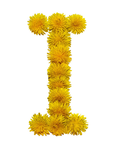 The letter of the English alphabet is collected from the flowers of yellow chamomile. Isolated on white background. - Foto, imagen