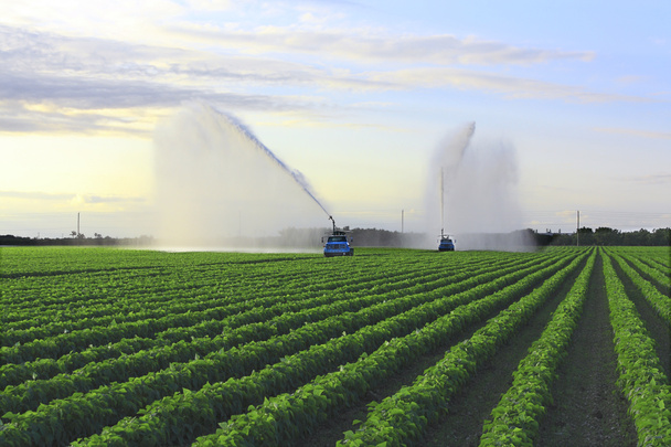 Irrigation Terres agricoles
 - Photo, image