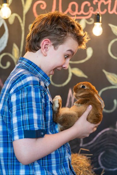 милый мальчик сидит на сене и играет с серым кроликом в канун Пасхи
 - Фото, изображение