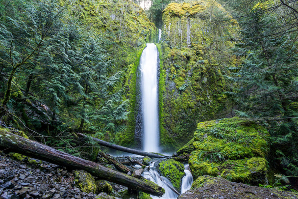 Gorton Creek Falls, Columbia River Gorge, Oregon. Zaciszne 150 stóp wysokości wodospad, wspaniały naturalny wodospad - Zdjęcie, obraz