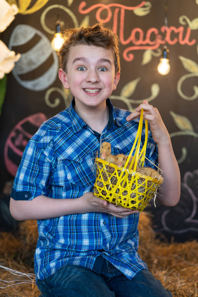teen boy in blue plaid shirt with yellow newborn geese on hay background - Foto, imagen