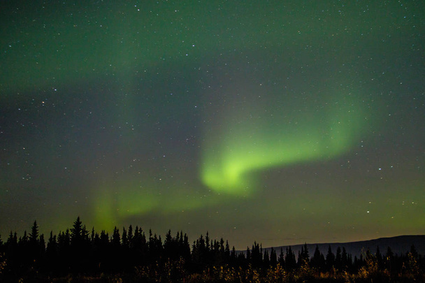 Gece gökyüzü Far North, aurora takip, kuzey ışığı macera ile ilgilenen büyülü gösterisi olarak dans - Fotoğraf, Görsel