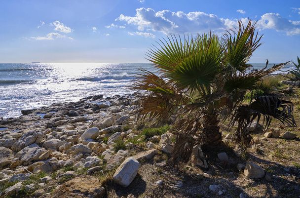 Italia, Sicilia, Marina di Modica (provincia de Ragusa), mar Mediterráneo, vista de la costa rocosa del sur oriental siciliano
 - Foto, Imagen