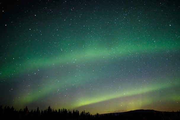Aurora světlo na zimní obloze na Aljašce, magické noční show, přírodní theather - Fotografie, Obrázek