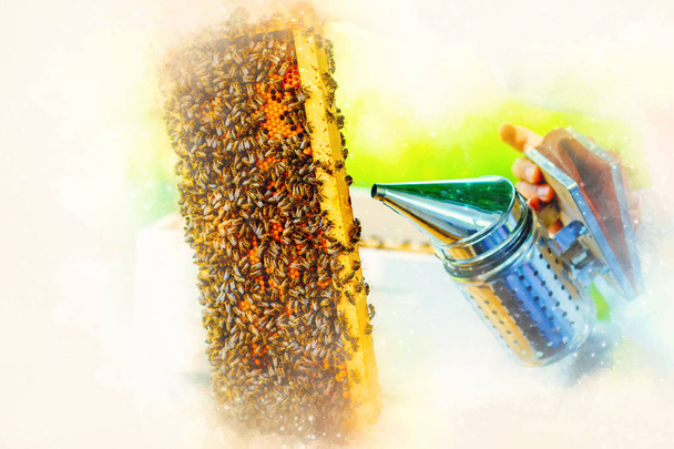 Beekeeper manipulating with honeycomb full of golden honey on softly blurred watercolor background. - Photo, Image