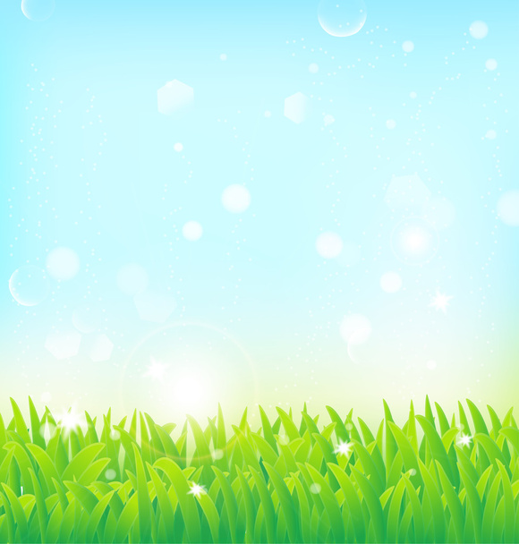 tło wiosna z trawy i efekty świetlne - Wektor, obraz