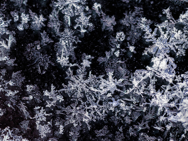 Snow flakes macro opname met donkere achtergrond - Foto, afbeelding