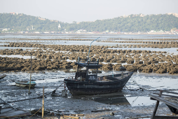 de oester boerderijen aan de kust van de stad van Ang Sila in de buurt van Beangsaen in de Provinz Chonburi in Thailand. Thailand, Bangsaen, November, 2018 - Foto, afbeelding