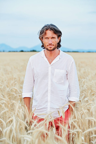 The beautiful brutal young man with long brunette hairs poses in the field with wheat, suntanned man, easy beard, sunset light, turns, smiles, flirts, happy, white shirt, Red shorts, rye field - 写真・画像