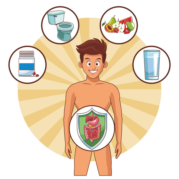 sistema digestivo dell'uomo ben funzionante
 - Vettoriali, immagini