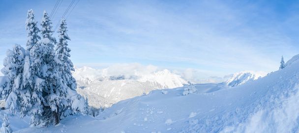 Wide panoramic view of winter landscape with snow covered trees and Alps in Seefeld in the Austrian state of Tyrol. Winter in Austria - Foto, Imagen