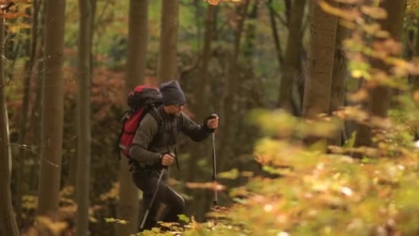 Wandelaar met wandelen in het woud in slowmotion opnames rugzak. - Video