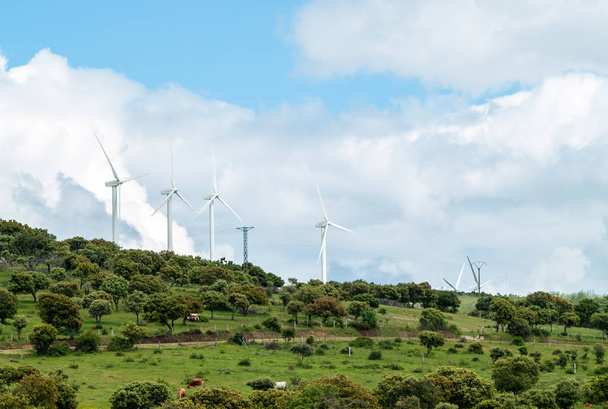  landschap met windturbines in Salamanca. Concept hernieuwbare energie - Foto, afbeelding