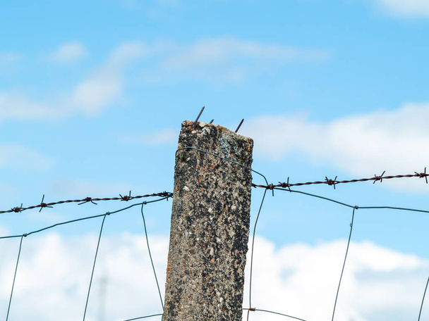 дротова огорожа на полі, Саламанка, Іспанія - Фото, зображення