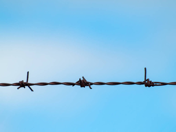 καλωδιωμένος φράχτης στο πεδίο, Σαλαμάνκα, Ισπανία - Φωτογραφία, εικόνα