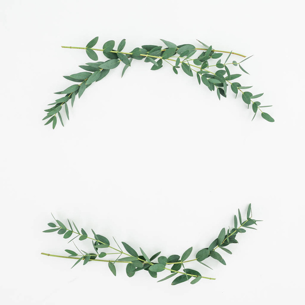 Floral frame with eucalyptus branches on white background. Flat lay, top view - Фото, изображение