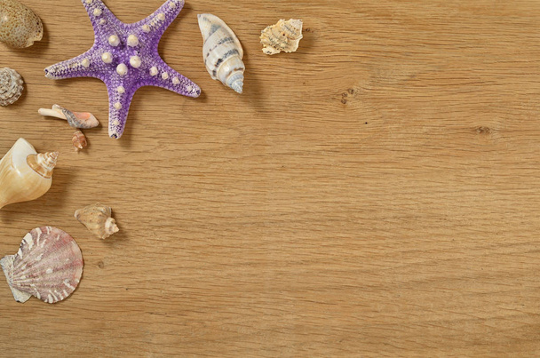 Molluschi su tavolo di legno da vicino. Seashells su un vecchio tavolo di legno con spazio copia per il testo. Guscio di capesante dal Mar Nero
. - Foto, immagini