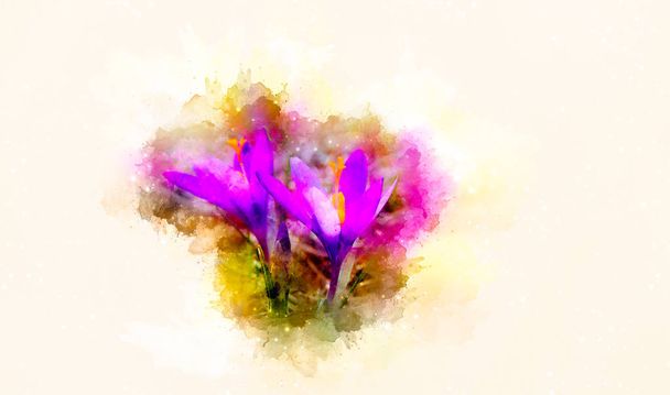 Весняні квіти, шафран і ніжно розмитий акварельний фон
. - Фото, зображення