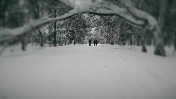 Ihmiset kävelevät lumisella tiellä.
 - Materiaali, video